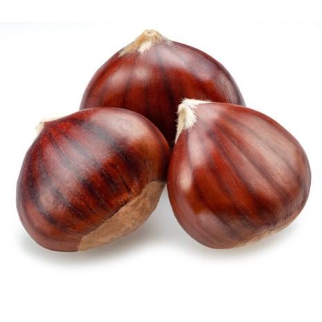 Chestnut