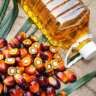 Refined Palm Oil