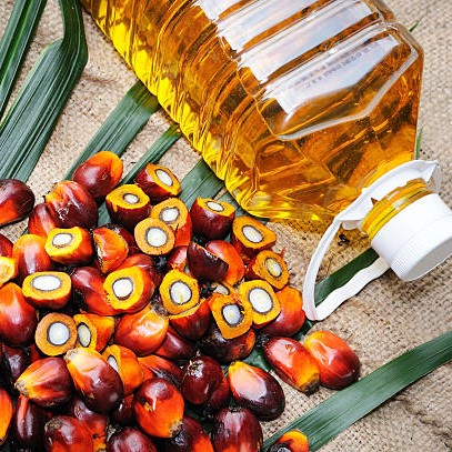 Refined Palm Oil